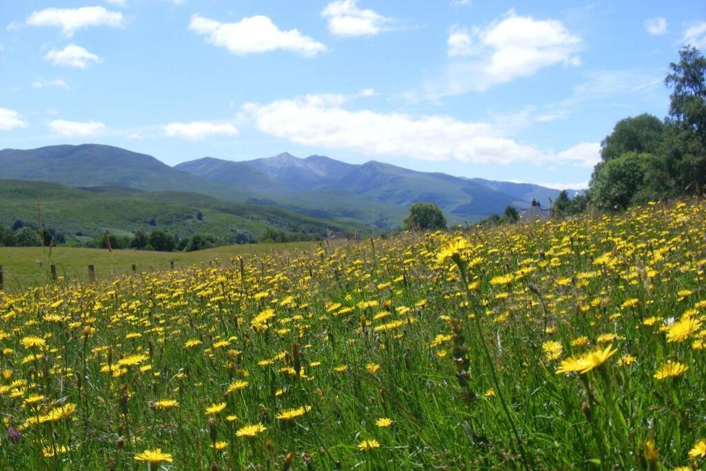 Cul Darach Lodge, Glen Roy Nature Reserve رويبريدج المظهر الخارجي الصورة